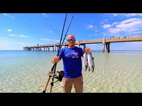 Eating Whatever I Catch Under this Saltwater Pier!