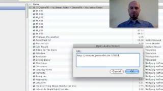 How to add a web radio stream to your iTunes library