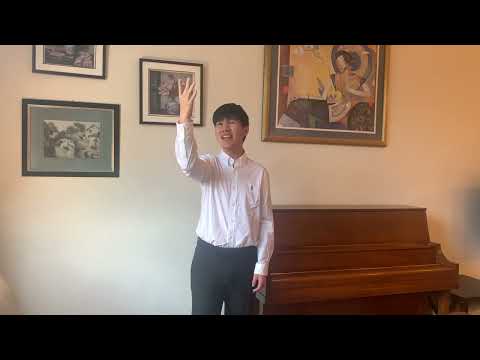 2022 AVIMC - Voice Young Artist Group A - First Prize Winner - Derek Li