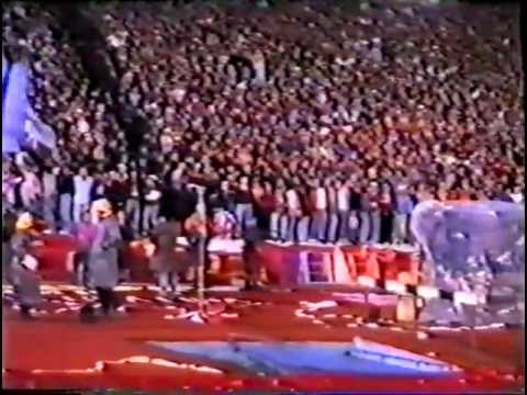 Делије Север 1989 - Катюша / Каћуша