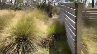 Nacimiento del Yaque del sur completamente Seco