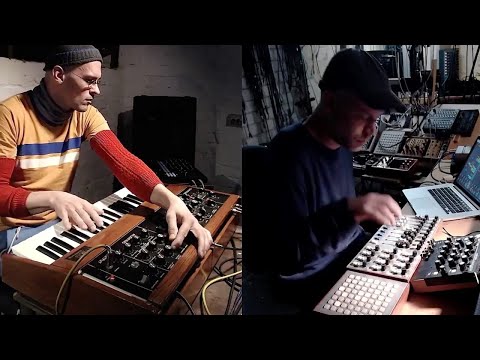 skinnerbox live quarantine 4 with Q&A (minimoog, ableton)