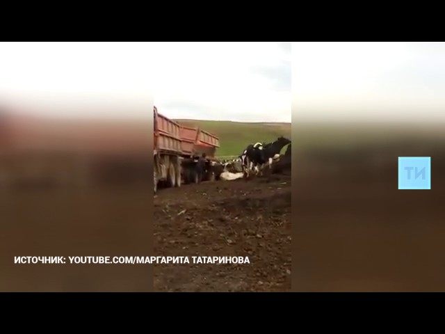 В Бавлинском приюте «Семья» наградили добровольцев 