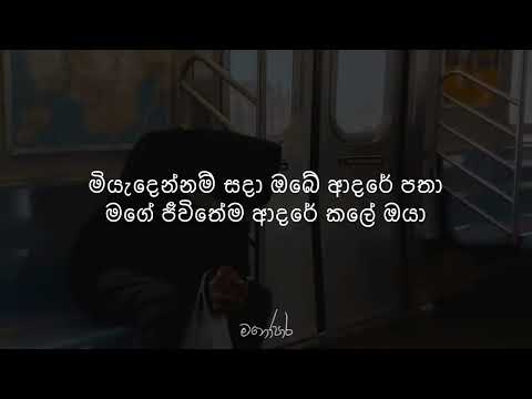 💛Miyadennam Sada මියදෙන්නම් සදා Lyrics Nilan Hettiarachchi