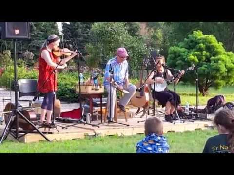 Cluck Old Hen  - Atwater Donnelly Trio