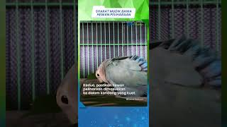 Ini Syarat yang Harus Dipenuhi jika Ingin Membawa Hewan Peliharaan Mudik Pakai Kereta Api