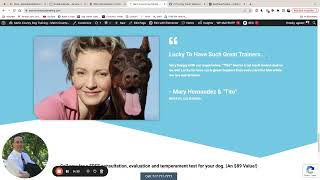 Dog Training Business Website Critique for Mike's K9 Academy