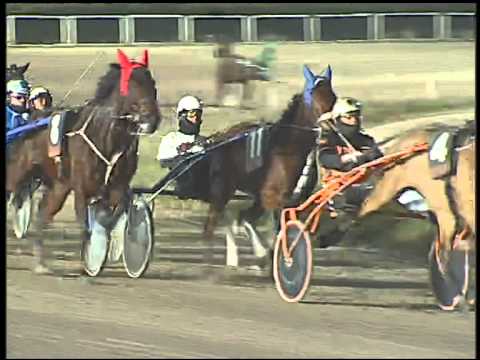 Trotto 27/01/2015 - 7° Corsa