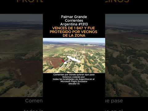 Palmar Grande, Corrientes desde el Microsoft Flight Simulator #palmargrande #corrientes #msfs