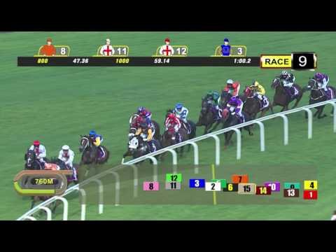 Queen Elizabeth II Cup 2017 (Quechua)