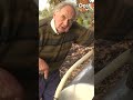 Boertje Gerrit geniet intens van zijn kleine boerderij | RTV Oost
