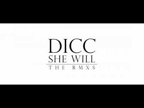 DICC - She will - The RMXS