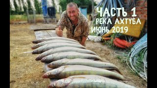Рыболовная база на ахтубе емеля фиш