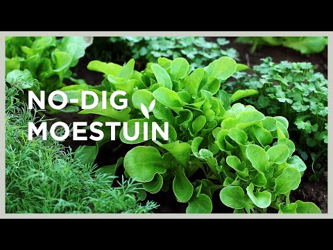 🌱 Tuinieren zonder spitten! | No-dig moestuinieren doe je zo | Angelo Dorny