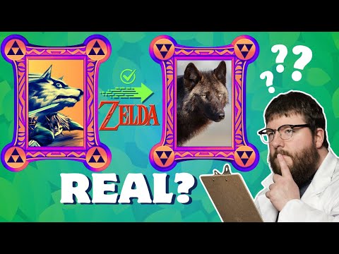 How Many Canines in Zelda are Actually Real? (it's more than you think!)