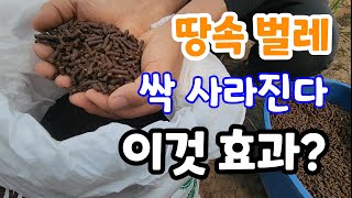 땅속 벌레 걱정 이제 그만! 뿌려만 줘도 싹 사라진다! 비료도 필요 없다 뿌리혹병.선충퇴치 님유박
