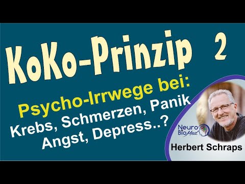 Das KoKo-Prinzip 02: Krebs, Schmerzen, Asthma, Panik etc. - durch Kooperationsfehler