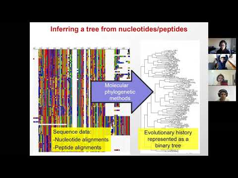 6.047/6.878 Lecture 19 - Phylogenetics (Fall 2020)