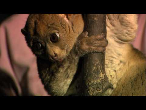 download lagu mp3 mp4 Potto, download lagu Potto gratis, unduh video klip Potto