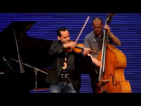 Seifert Competition 2014 - "Turbulent plover" by Zbigniew Seifert - Roman Janoska