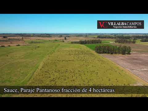 Campo de 4 Hectáreas en Paraje Pantanoso, Sauce Canelones.