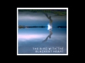 The Bird With the Blackest Heart by Brokenkites