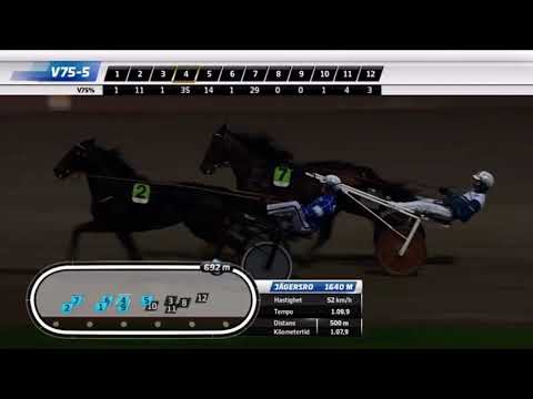 Bronsdivisionen Forsök3 Meeting7 2024 - Here’s Johnny Sox 1.09,9 1640m