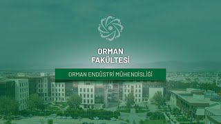 Orman Endüstrisi Mühendisliği Tanıtım Filmi (2024)