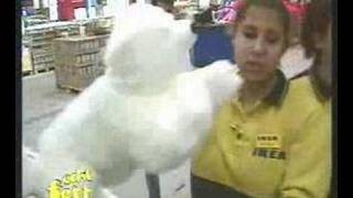 echt fett - Olaf 99€