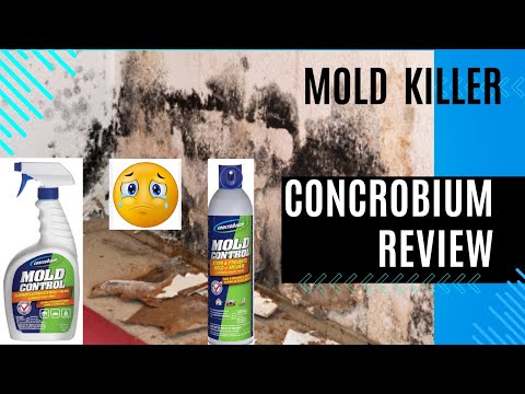 Concrobium Mold Control Review, How to Kill Mold