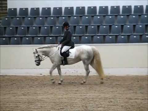 Hohnhorst Corona - SLP Verden 2013