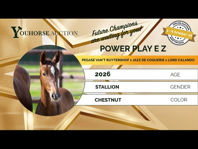 Power Play E Z