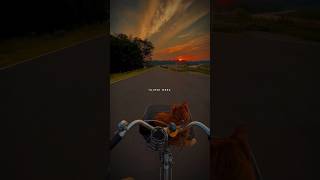 Download lagu Tujhse Mera Jee Nhi  Bharta (Female version)|| Duniya Song 🕊️💞|| Aesthetic Status 🕊️✨#shorts #reels mp3