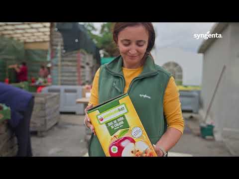 Experienșa Afinto și Isabion, Pomicola Boz, Alba, pomi fructiferi