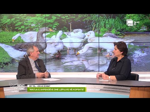 “Rritja e shpendëve dhe lepujve në kopshtet e fermës bujqësore” | "Rrënjët e ushqimit tënd" në RTSH