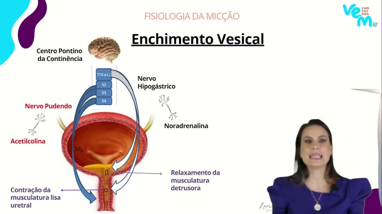 Fisiologia da Micção