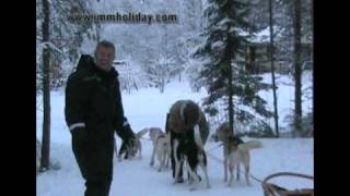 preview picture of video 'Finlandia - Lapponia Part 4 - Sled dog a Rovaniemi'