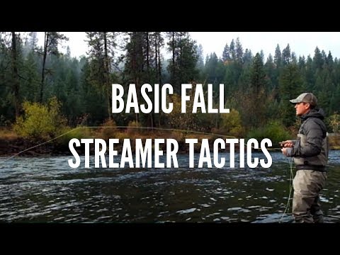 Basic Streamer Fly Fishing Tactics for Trout in the Fall