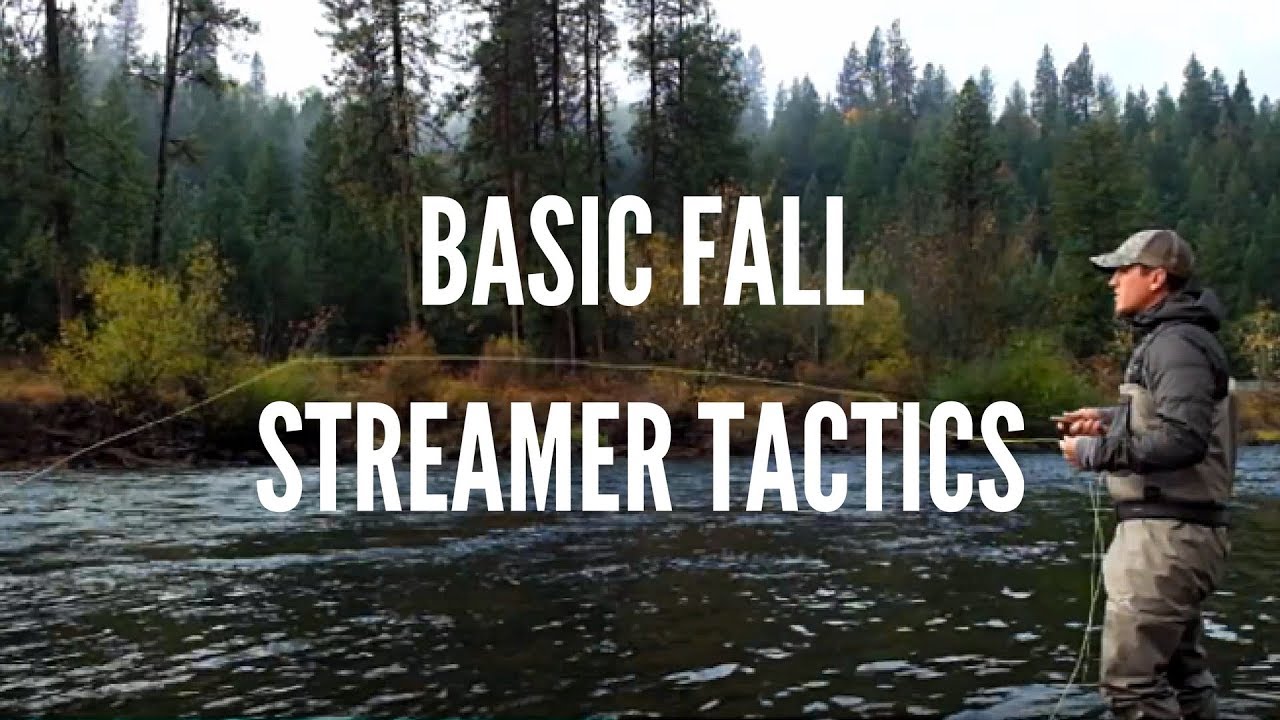 Basic Streamer Fly Fishing Tactics for Trout in the Fall