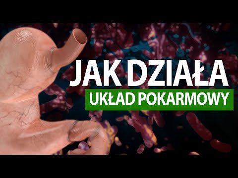 , title : 'Jak działa człowiek #UKŁAD POKARMOWY (tłumaczenie na PJM)'