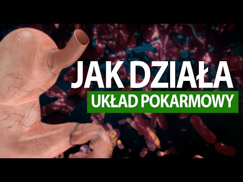 Jak działa człowiek #UKŁAD POKARMOWY (tłumaczenie na PJM)