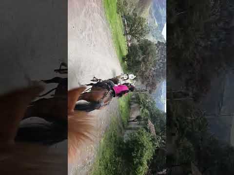 #. calgata en Baños Tungurahua tenemos reservas para cualquier eventos en caballos🐎🐴