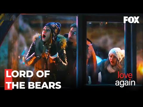 The Crews Mountain Home Holiday Is Attacked By A Bear - Love Again Episode 128