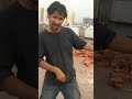 Gay Ka Lucknow Uttar Pradesh Farman