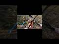 POV Chasing Through A Wild Forest Trail On A Mountain Bike Bikelife Shorts