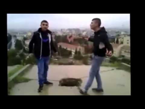 yNarkoz 2013 zmir Rap