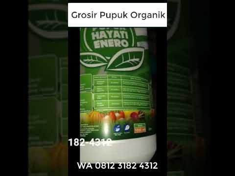 WA. 0812-3182-4312 Sentra Jual pupuk untuk anggrek Waingapu #agenpupukorganikcair