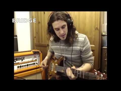 PRS HOLLOWBODY I DEMO