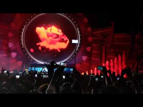Martín solveig EDC México 2017 intoxicated