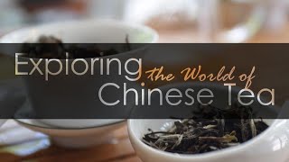 Tea 101  |  Learn About Tea  |  ZhenTea